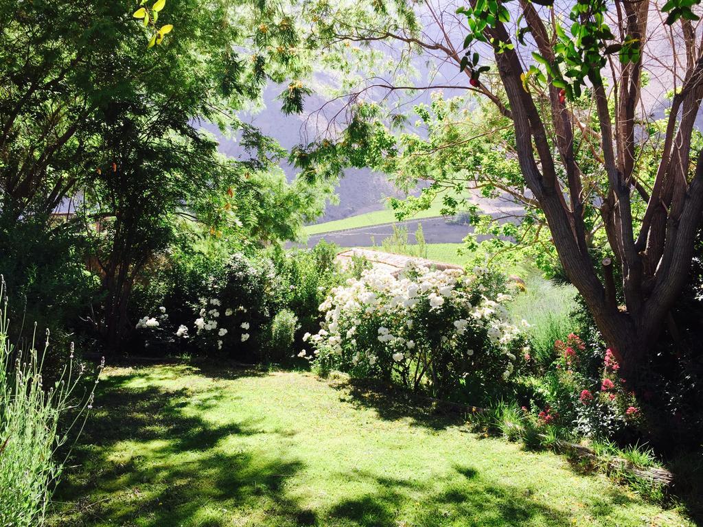 Refugio Misterios Del Elqui Bed & Breakfast Писко Елки Екстериор снимка
