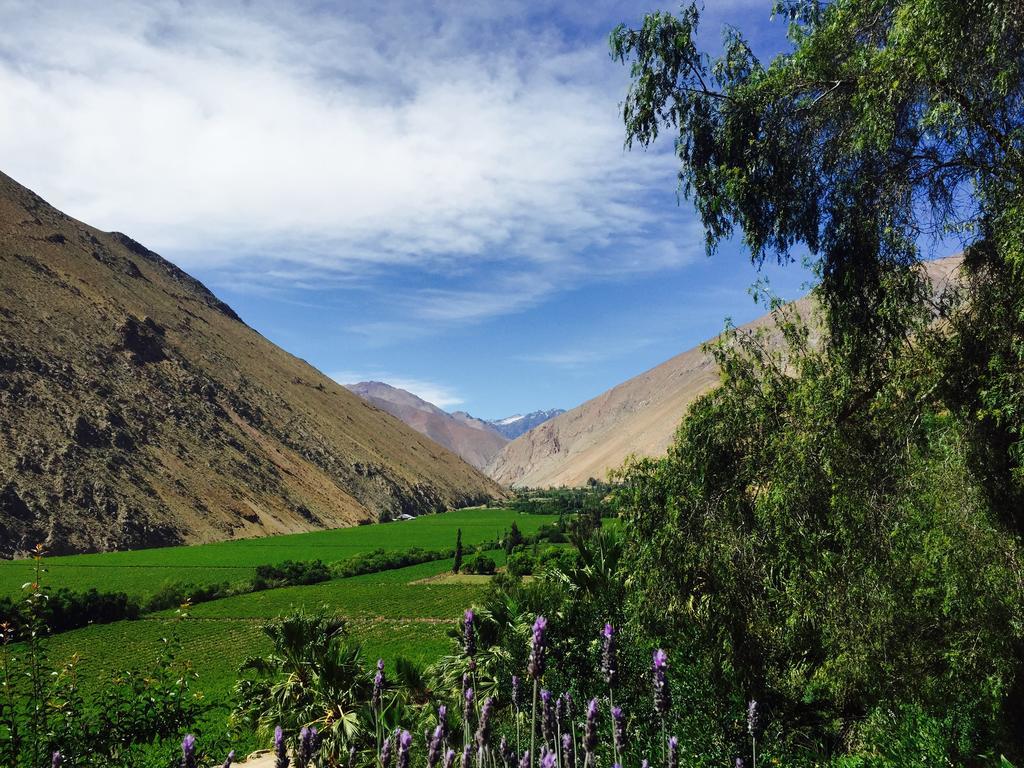 Refugio Misterios Del Elqui Bed & Breakfast Писко Елки Екстериор снимка
