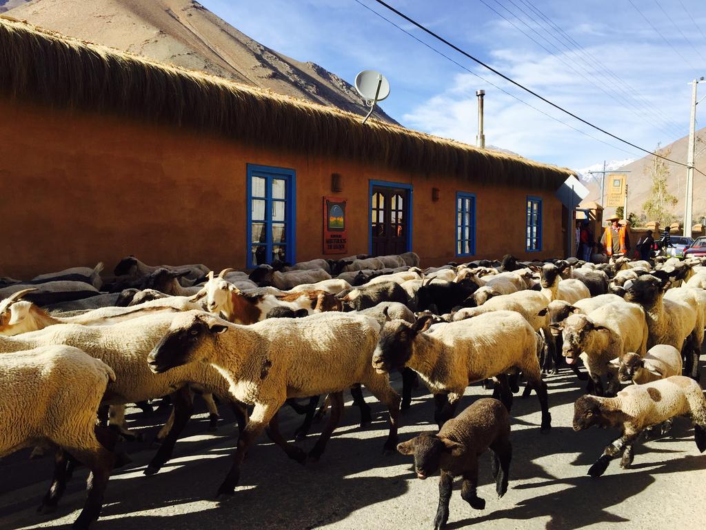 Refugio Misterios Del Elqui Bed & Breakfast Писко Елки Екстериор снимка
