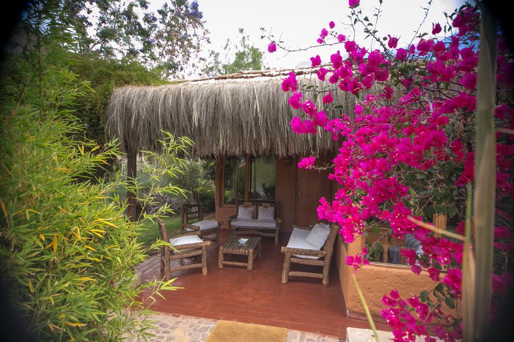 Refugio Misterios Del Elqui Bed & Breakfast Писко Елки Екстериор снимка
