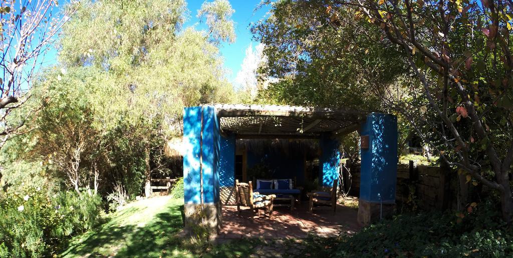 Refugio Misterios Del Elqui Bed & Breakfast Писко Елки Екстериор снимка