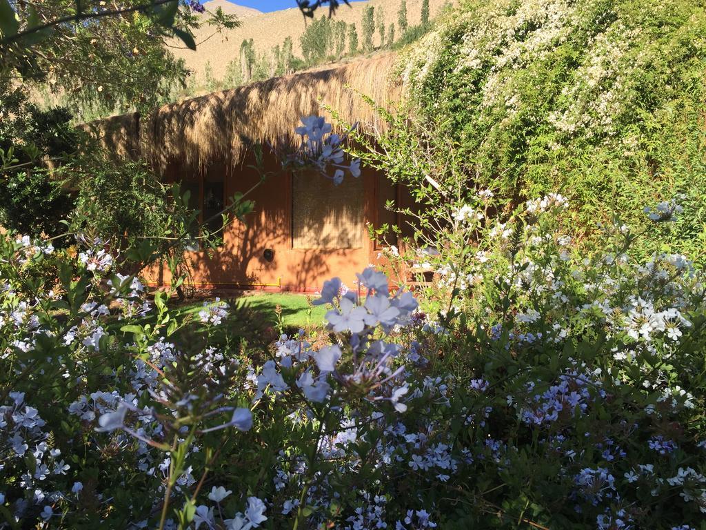 Refugio Misterios Del Elqui Bed & Breakfast Писко Елки Екстериор снимка