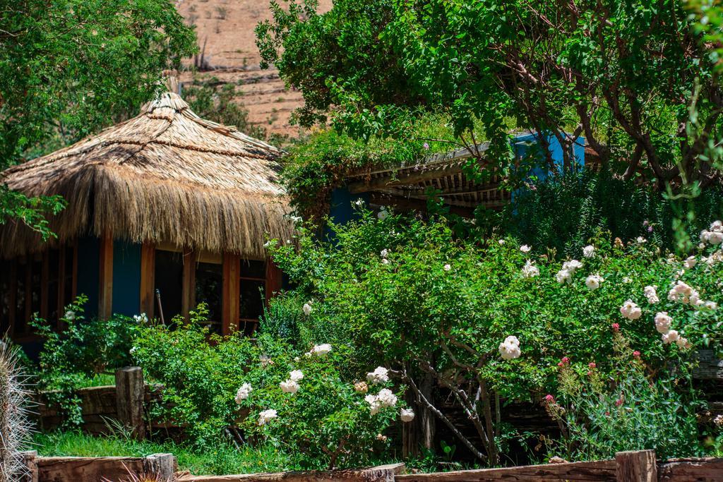 Refugio Misterios Del Elqui Bed & Breakfast Писко Елки Екстериор снимка