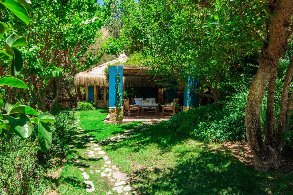 Refugio Misterios Del Elqui Bed & Breakfast Писко Елки Екстериор снимка