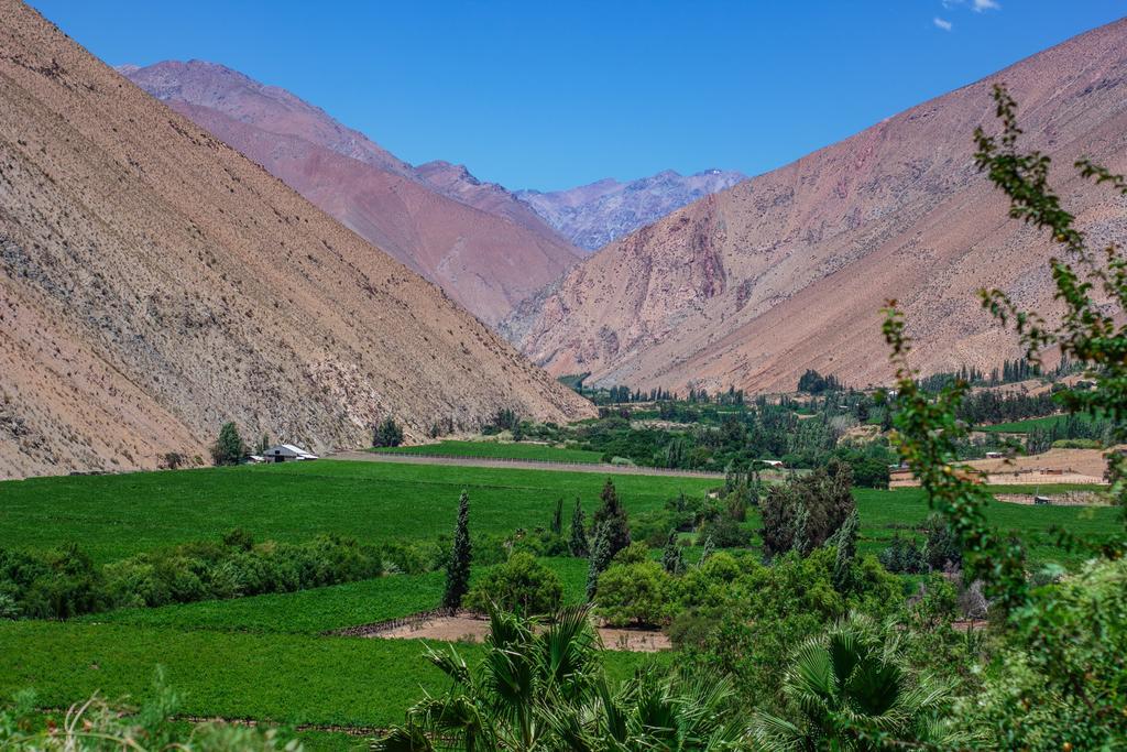 Refugio Misterios Del Elqui Bed & Breakfast Писко Елки Екстериор снимка